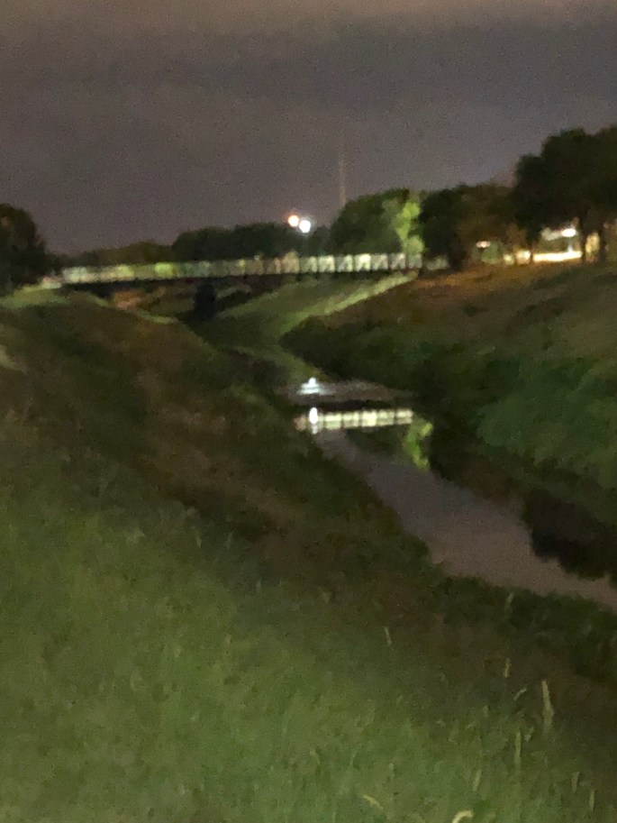 20190908_021745134_iOS